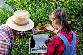 Agro CRM Portfolio